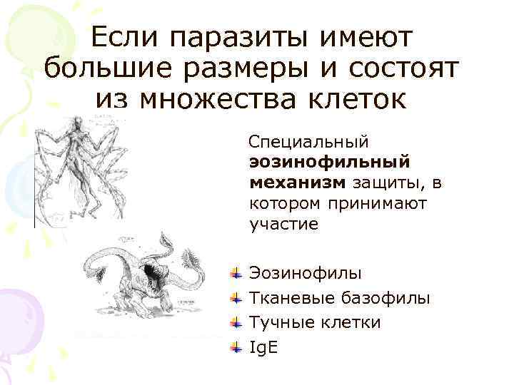 Если паразиты имеют большие размеры и состоят из множества клеток Специальный эозинофильный механизм защиты,