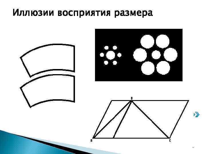 Иллюзии восприятия размера 