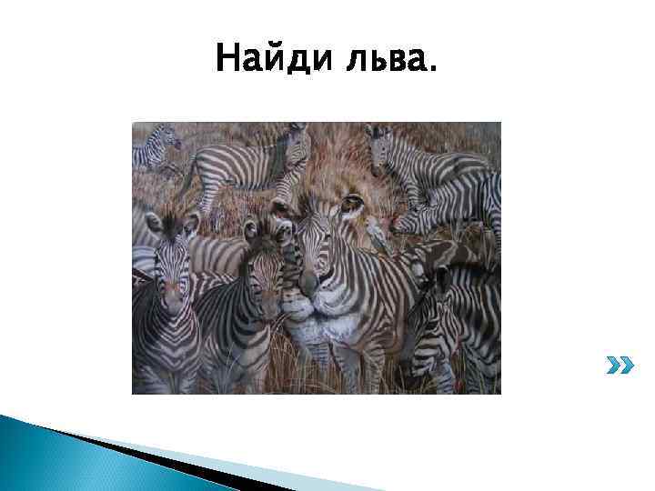 Найди льва. 