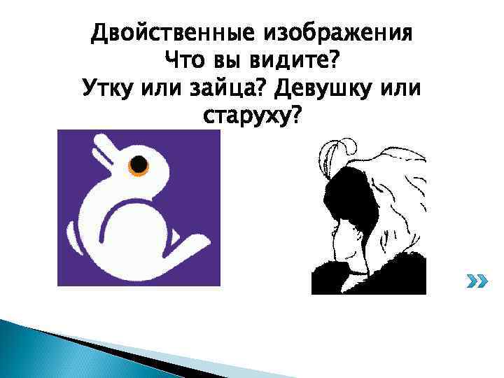 Двойственные изображения Что вы видите? Утку или зайца? Девушку или старуху? 