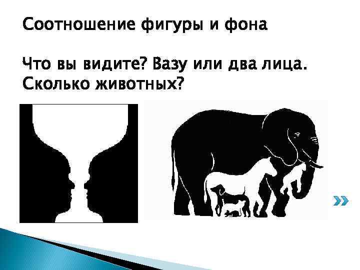 Соотношение фигуры и фона Что вы видите? Вазу или два лица. Сколько животных? 