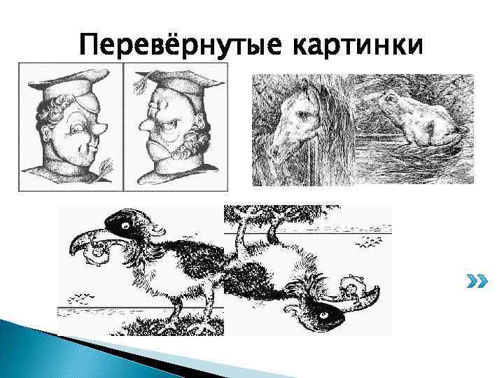 Перевёрнутые картинки 