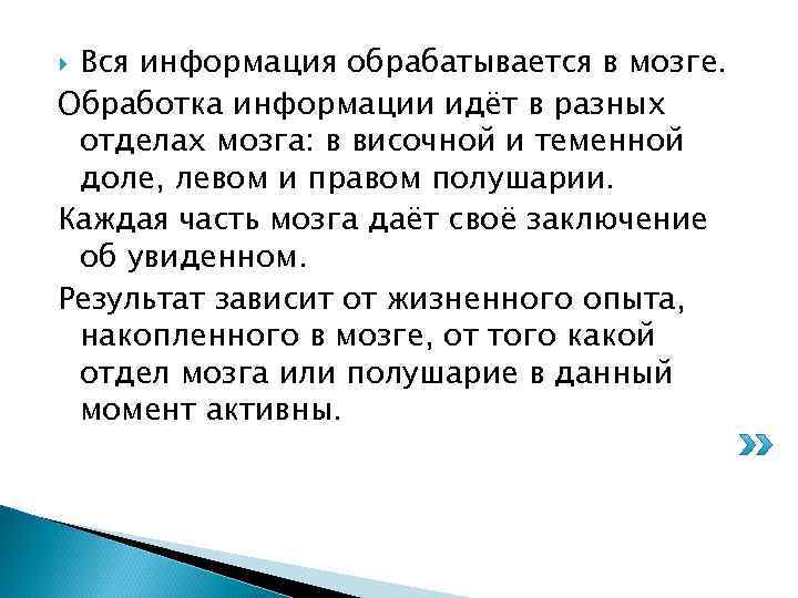Вся информация обрабатывается в мозге. Обработка информации идёт в разных отделах мозга: в височной