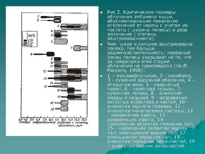 u u u Рис 2. Критические периоды облучения эмбриона мыши, обусловливающие появление отклонений от