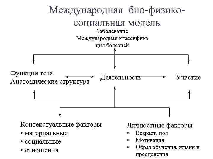 Международная био-физикосоциальная модель Заболевание Международная классифика ция болезней Функции тела Анатомические структура Деятельность Контекстуальные