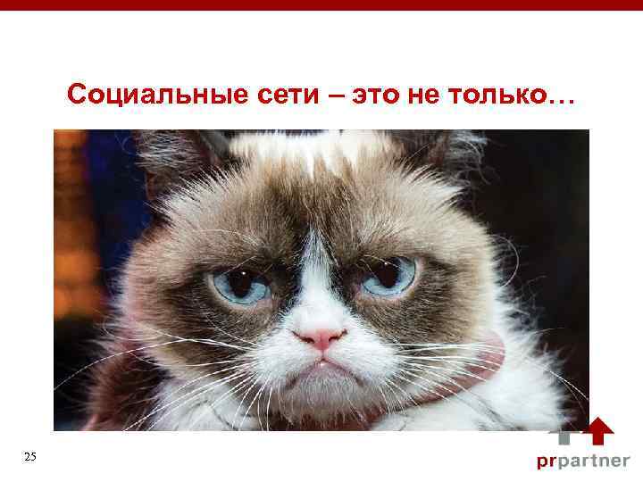  Социальные сети – это не только… 25 