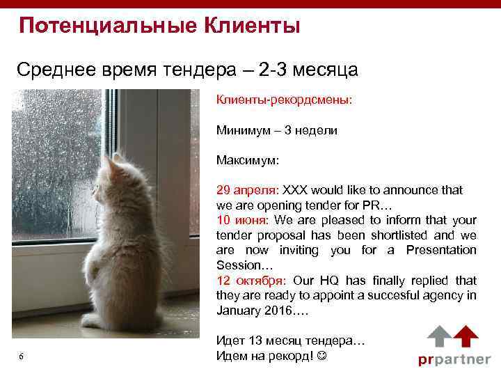 Потенциальные Клиенты Среднее время тендера – 2 -3 месяца Клиенты-рекордсмены: Минимум – 3 недели