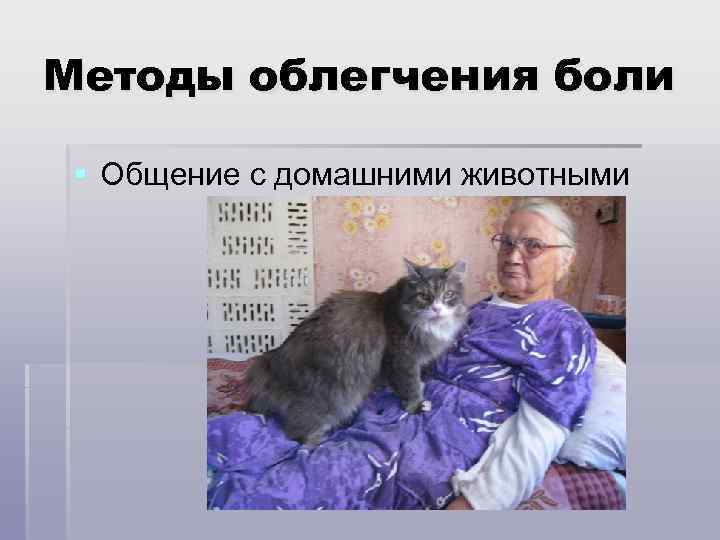 Методы облегчения боли § Общение с домашними животными 