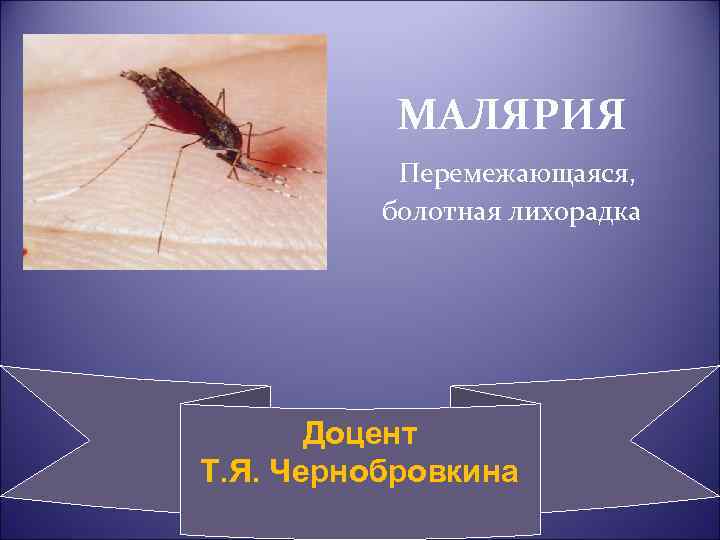 Течение малярии. Малярия лихорадка.