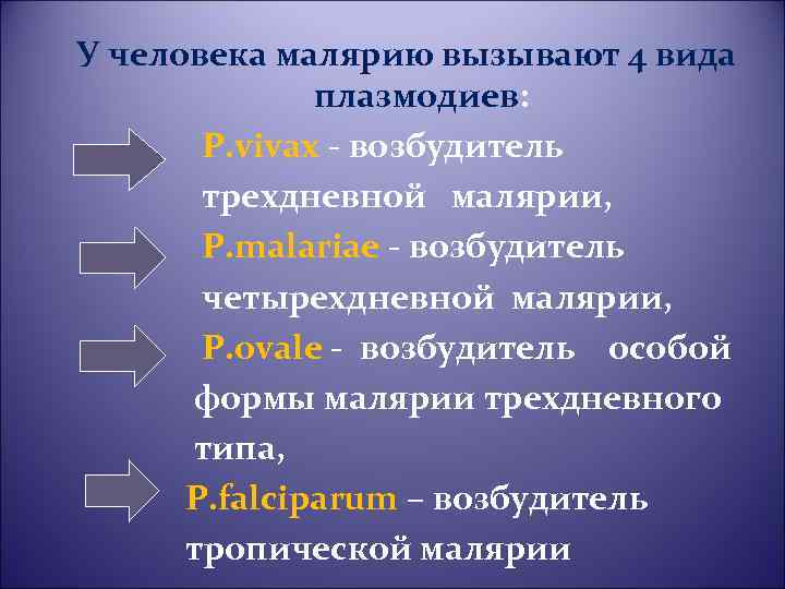 У человека малярию вызывают 4 вида плазмодиев: P. vivax - возбудитель трехдневной малярии, P.