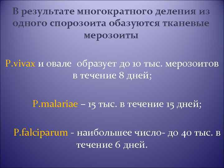 В результате многократного деления из одного спорозоита обазуются тканевые мерозоиты P. vivax и овале