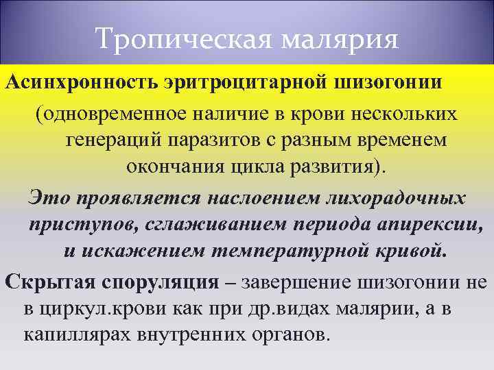 Тропическая малярия Асинхронность эритроцитарной шизогонии (одновременное наличие в крови нескольких генераций паразитов с разным