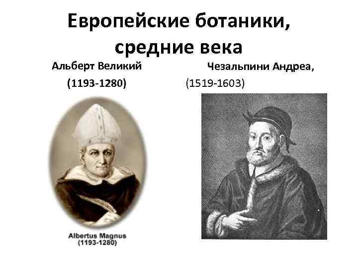 Европейские ботаники, средние века Альберт Великий (1193 -1280) Чезальпини Андреа, (1519 -1603) 