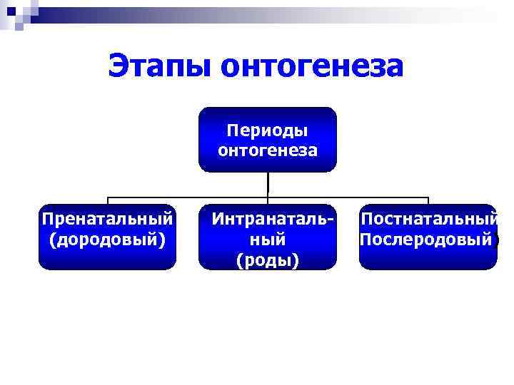 Развитие человека в онтогенезе характеризуется последовательностью понятий