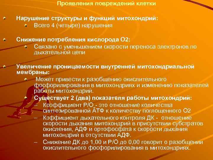 Проявления повреждений клетки Нарушение структуры и функций митохондрий: Всего 4 (четыре) нарушения Снижение потребления