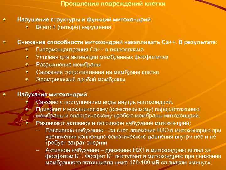 Проявления повреждений клетки Нарушение структуры и функций митохондрий: Всего 4 (четыре) нарушения Снижение способности