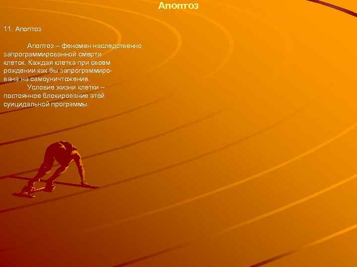 Апоптоз 11. Апоптоз – феномен наследственно запрограммированной смерти клеток. Каждая клетка при своем рождении
