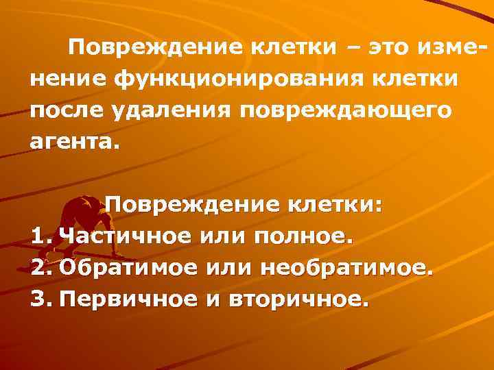 Повреждение клетки – это изменение функционирования клетки после удаления повреждающего агента. Повреждение клетки: 1.