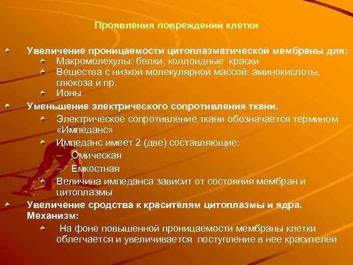 Проявления повреждений клетки Увеличение проницаемости цитоплазматической мембраны для: Макромолекулы: белки, коллоидные краски Вещества с