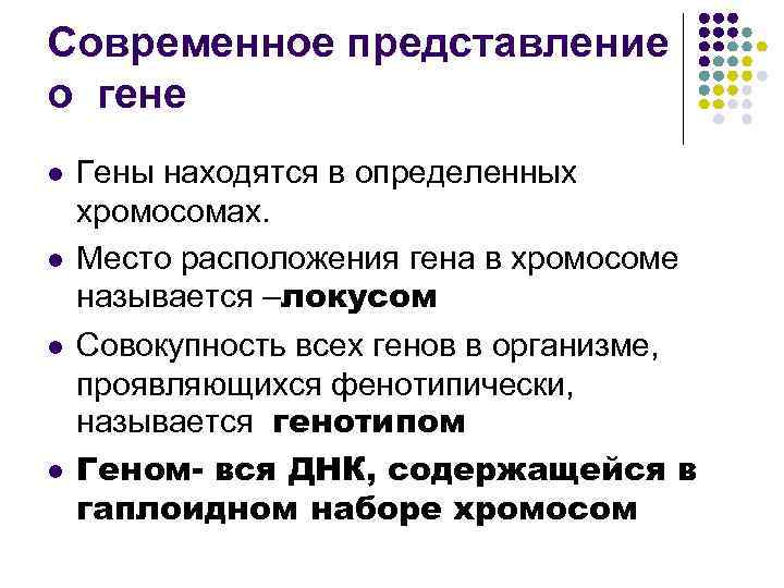 Современное представление о гене l l Гены находятся в определенных хромосомах. Место расположения гена