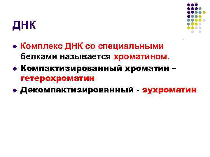 Комплекс днк. Эухроматин детерминант. Транскрипция происходит с эухроматина. Комплекс белков и ДНК называется. Комплекс ДНК С белками называется.