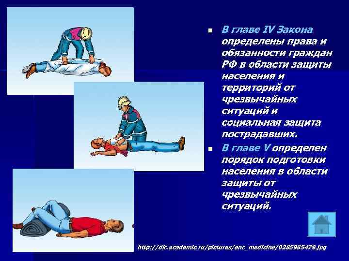 n n В главе IV Закона определены права и обязанности граждан РФ в области