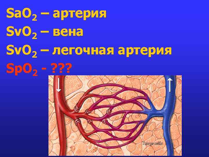 Sa. O 2 – артерия Sv. O 2 – вена Sv. O 2 –