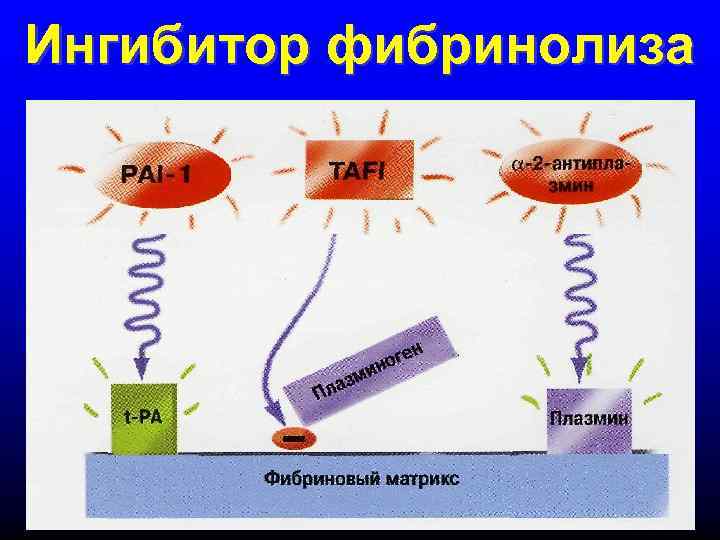Ингибитор фибринолиза 