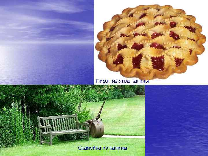 Пирог из ягод калины Скамейка из калины 