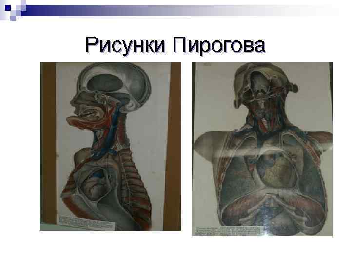 Рисунки Пирогова 