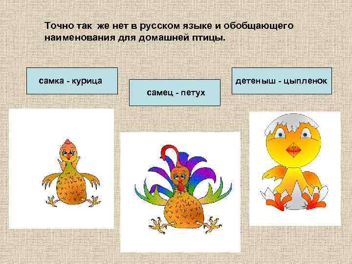 Точно так же нет в русском языке и обобщающего наименования для домашней птицы. самка