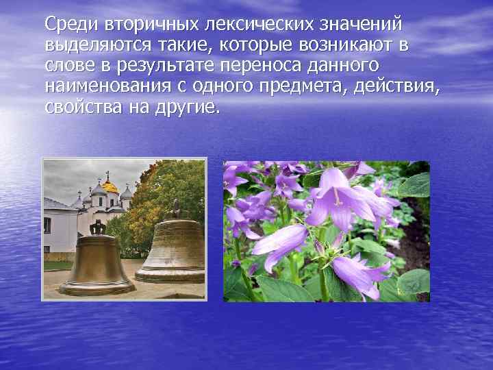 Среди вторичных лексических значений выделяются такие, которые возникают в слове в результате переноса данного