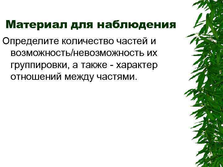 Материал для наблюдения Определите количество частей и возможность/невозможность их группировки, а также - характер