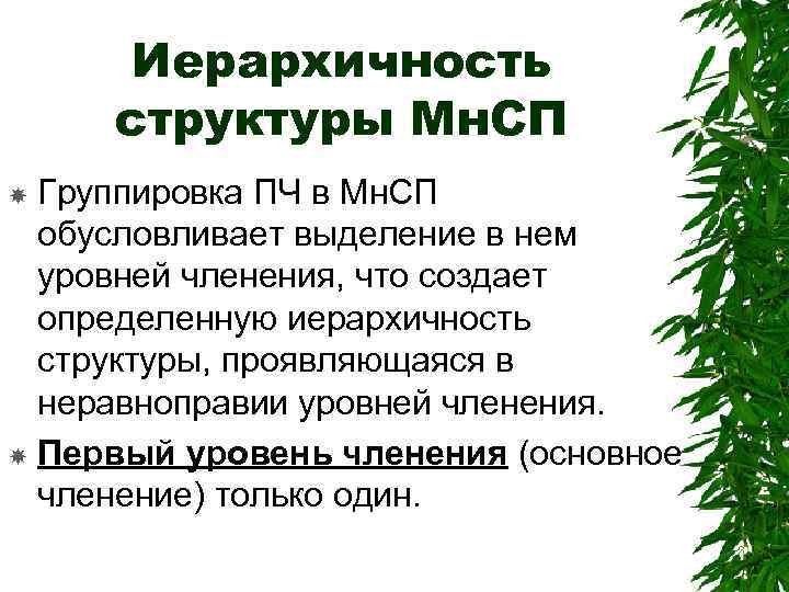 Иерархичность структуры Мн. СП Группировка ПЧ в Мн. СП обусловливает выделение в нем уровней