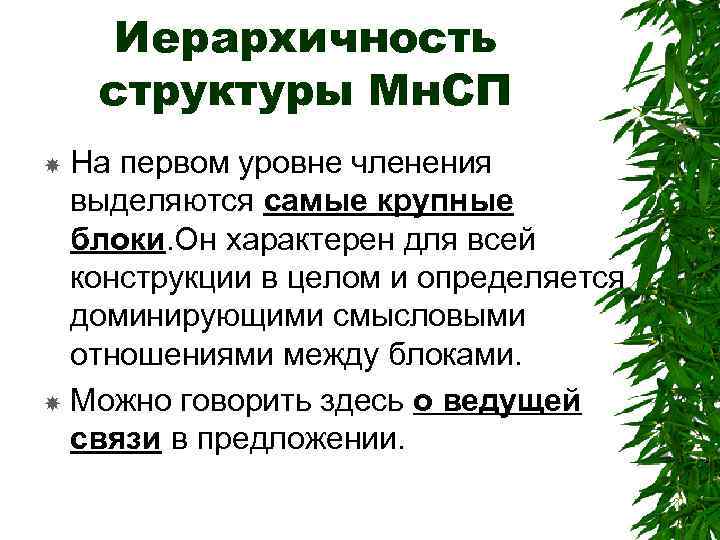 Иерархичность структуры Мн. СП На первом уровне членения выделяются самые крупные блоки. Он характерен