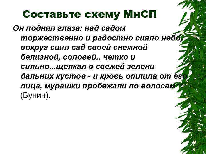 Составьте схему Мн. СП Он поднял глаза: над садом торжественно и радостно сияло небо,