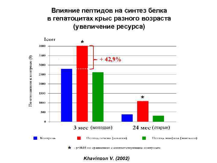 Влияние пептидов на синтез белка в гепатоцитах крыс разного возраста (увеличение ресурса) + 42,