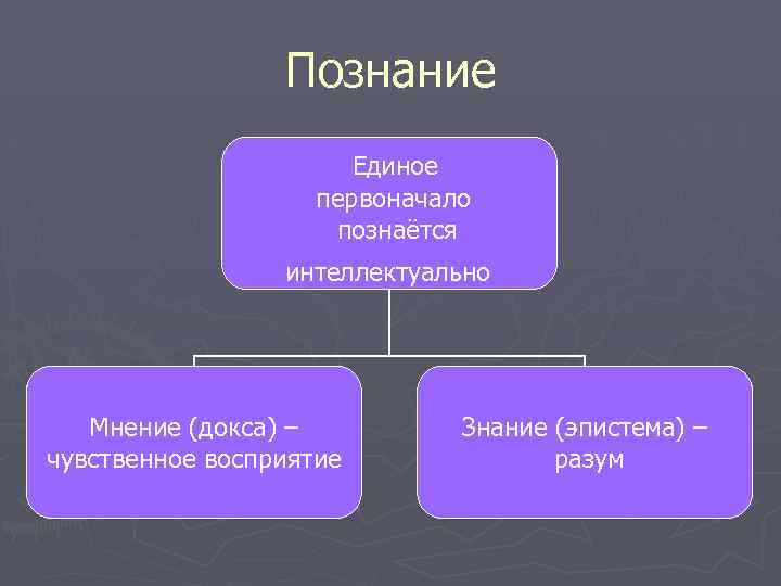 Познание Единое первоначало познаётся интеллектуально Мнение (докса) – чувственное восприятие Знание (эпистема) – разум