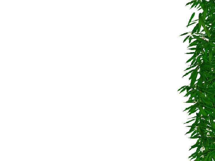 Полтава, 1999 - 192 с. 