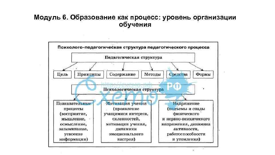 Модуль 6. Образование как процесс: уровень организации обучения 