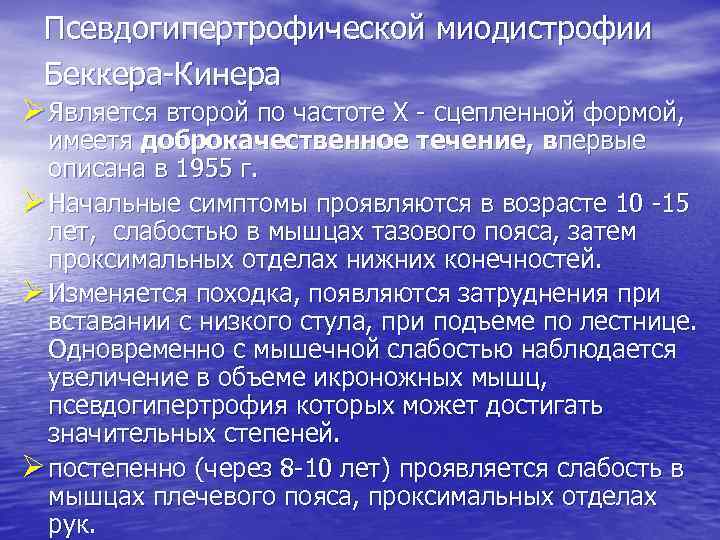 Псевдогипертрофической миодистрофии Беккера-Кинера Ø Является второй по частоте Х - сцепленной формой, имеетя доброкачественное