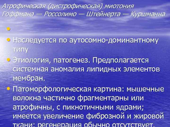 Атрофическая (дистрофическая) миотония Гоффмана — Россолимо — Штейнерта — Куршманна • • Наследуется по