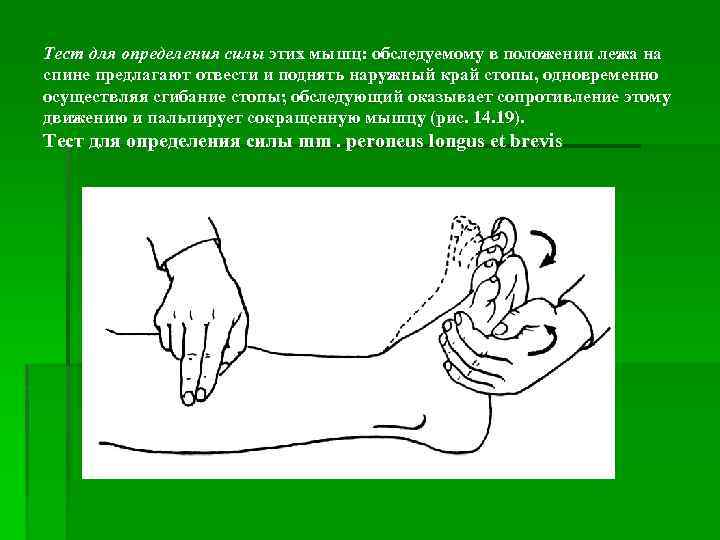 Тест для определения силы этих мышц: обследуемому в положении лежа на спине предлагают отвести