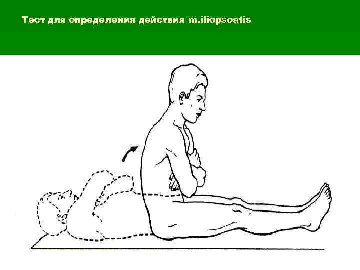 Тест для определения действия m. iliopsoatis 