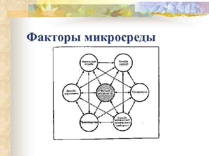 Факторы микросреды 