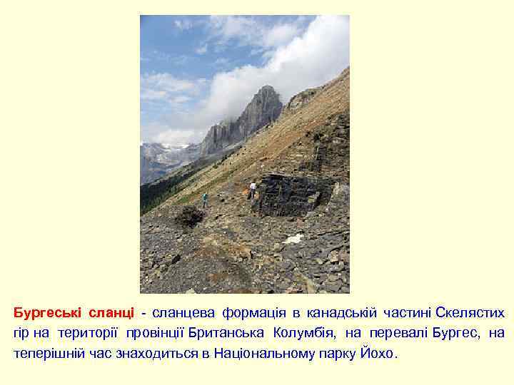 Бургеські сланці - сланцева формація в канадській частині Скелястих гір на території провінції Британська