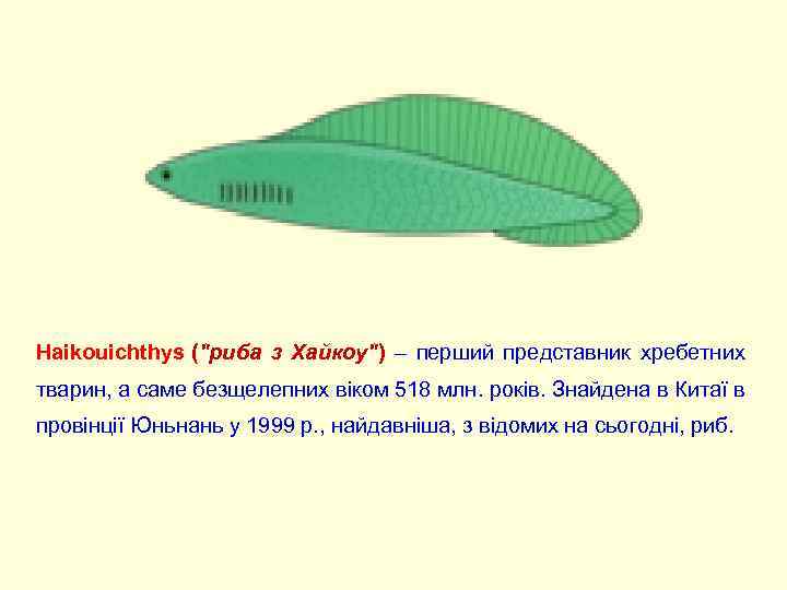 Haikouichthys ("риба з Хайкоу") – перший представник хребетних тварин, а саме безщелепних віком 518