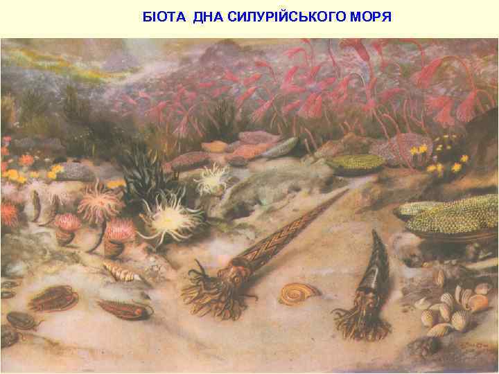 БІОТА ДНА СИЛУРІЙСЬКОГО МОРЯ 