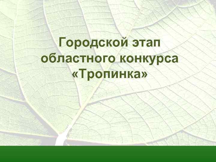 Городской этап областного конкурса «Тропинка» 