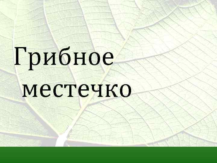 Грибное местечко 